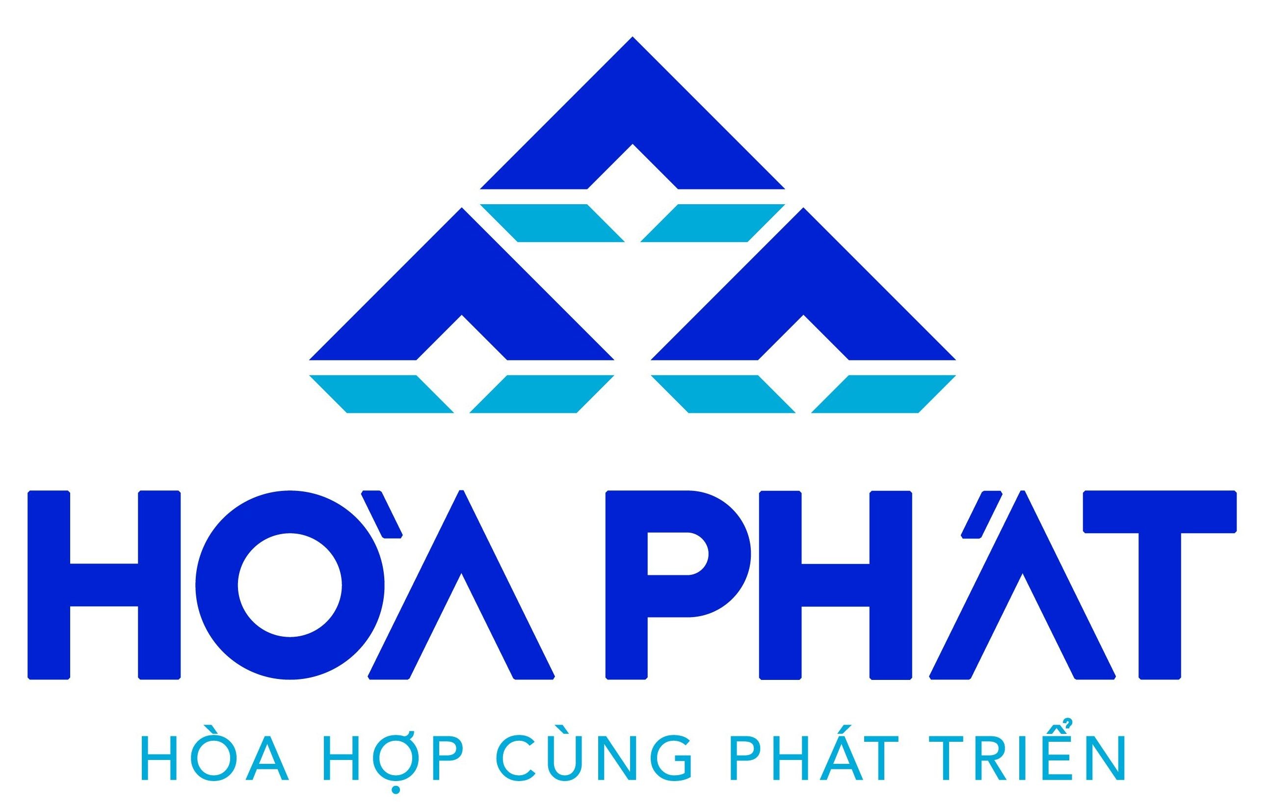 Hoa Phat Group JSC (HPG)