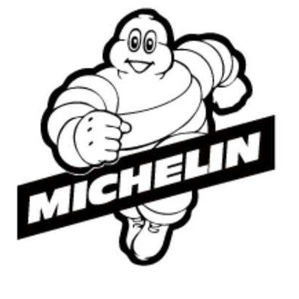 Шины Michelin