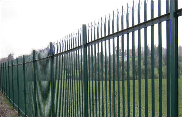 Y Steel Palisade Fence with Concertina Razor Wire