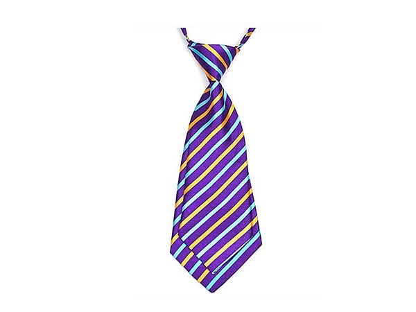 Shengzhou Boyi Neckwear & Weaving Co., Ltd.