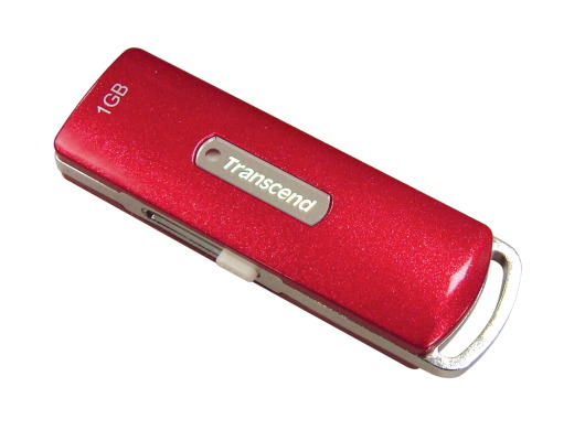 Флэш-накопитель JetFlash 110 USB2.0