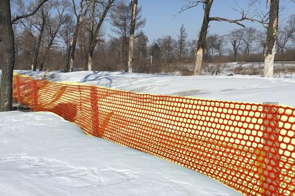 Snow Fence