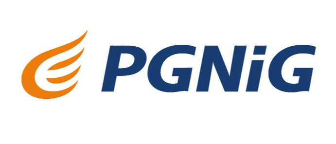 Pgnig Group