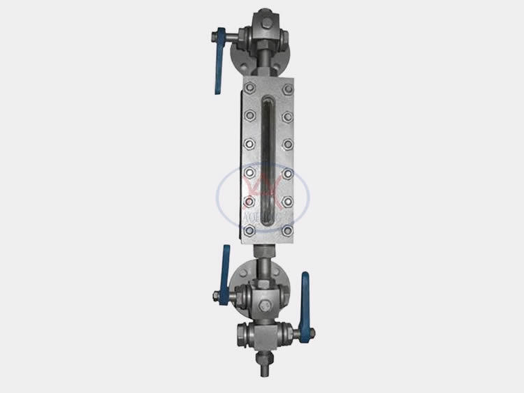 Transparent Level Gauge