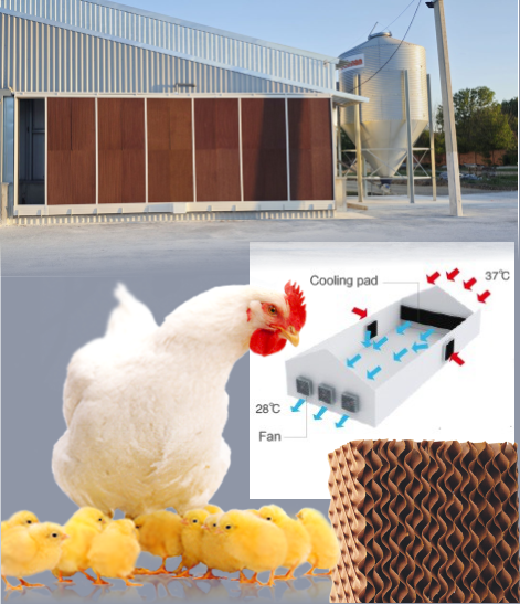 Панели испарительного охлаждения HuPad Agro Панели испарительного охлаждения HuPad Agro