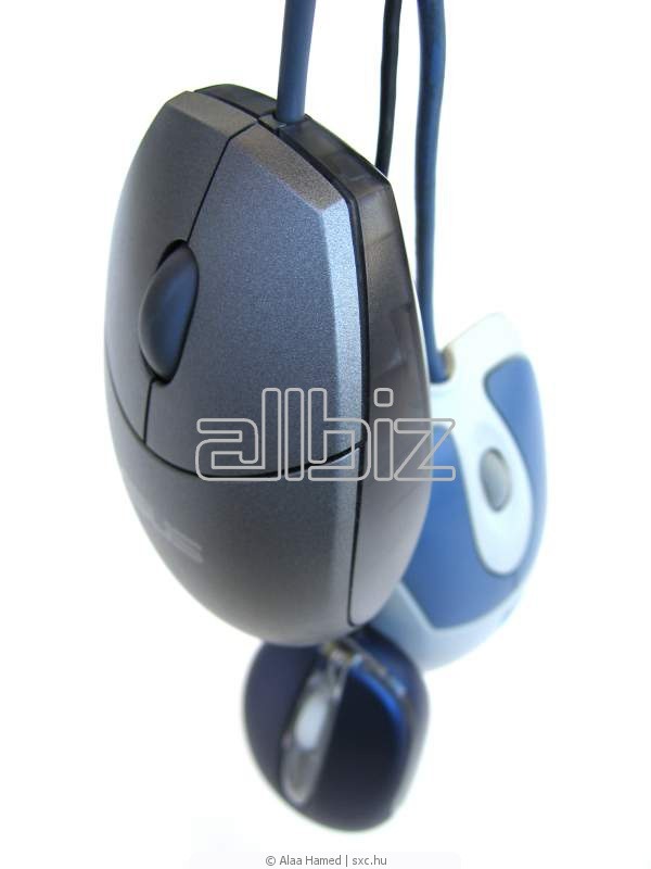 Манипуляторы мышь Манипуляторы мышь