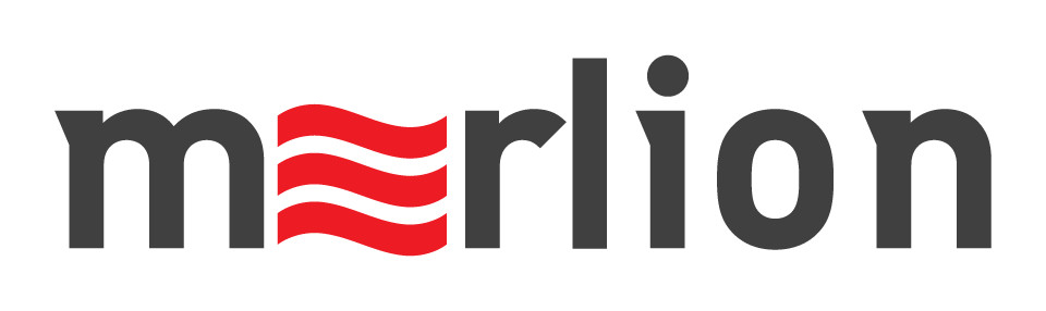 Компьютерный холдинг MERLION (Мерлион ООО) Компьютерный холдинг MERLION (Мерлион ООО)